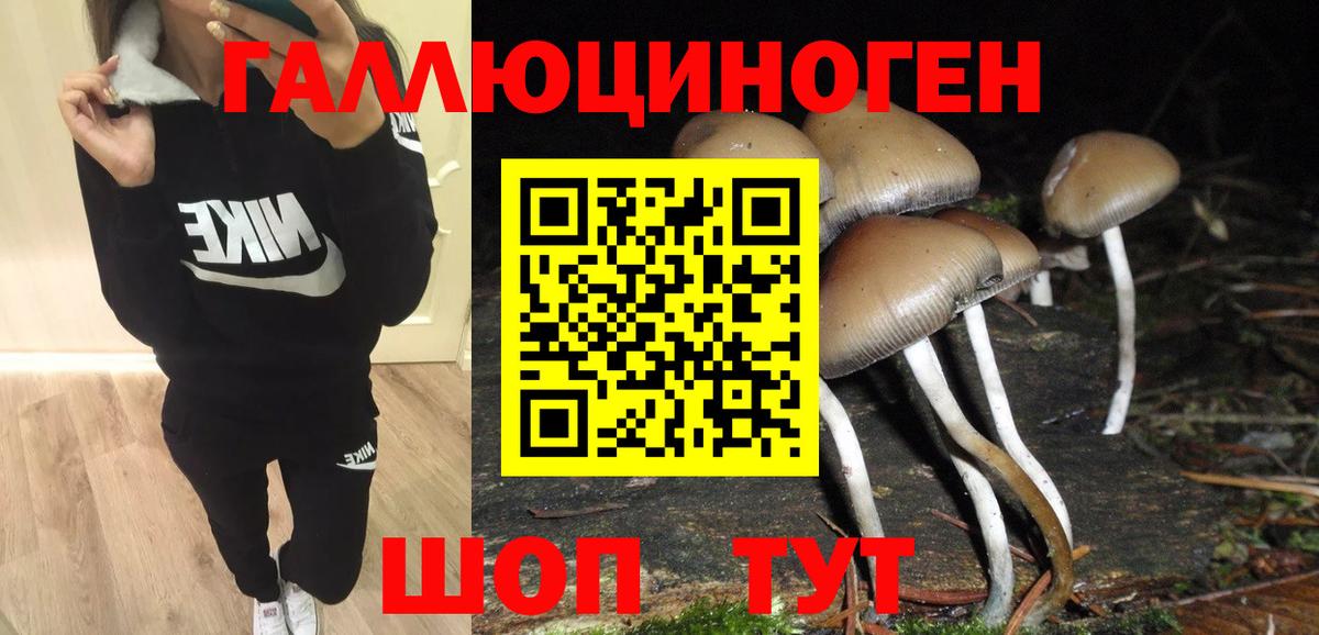Благодарный  Псилоцибиновые грибы MAGIC MUSHROOMS  Вход с VPN 